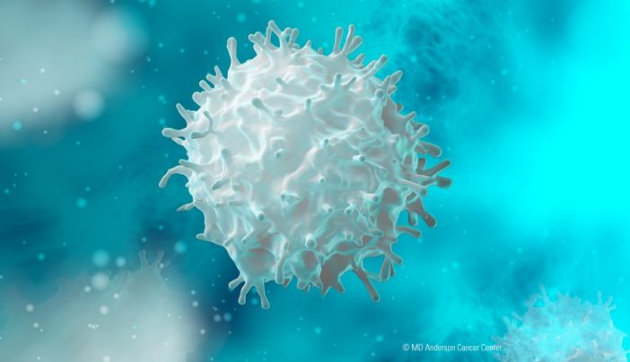 Does Immunotherapy Treat Colorectal Cancer MD Anderson Cancer Center