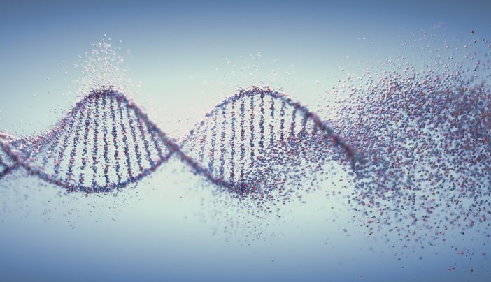 Can a vaccine help prevent Lynch syndrome-related cancers? | MD