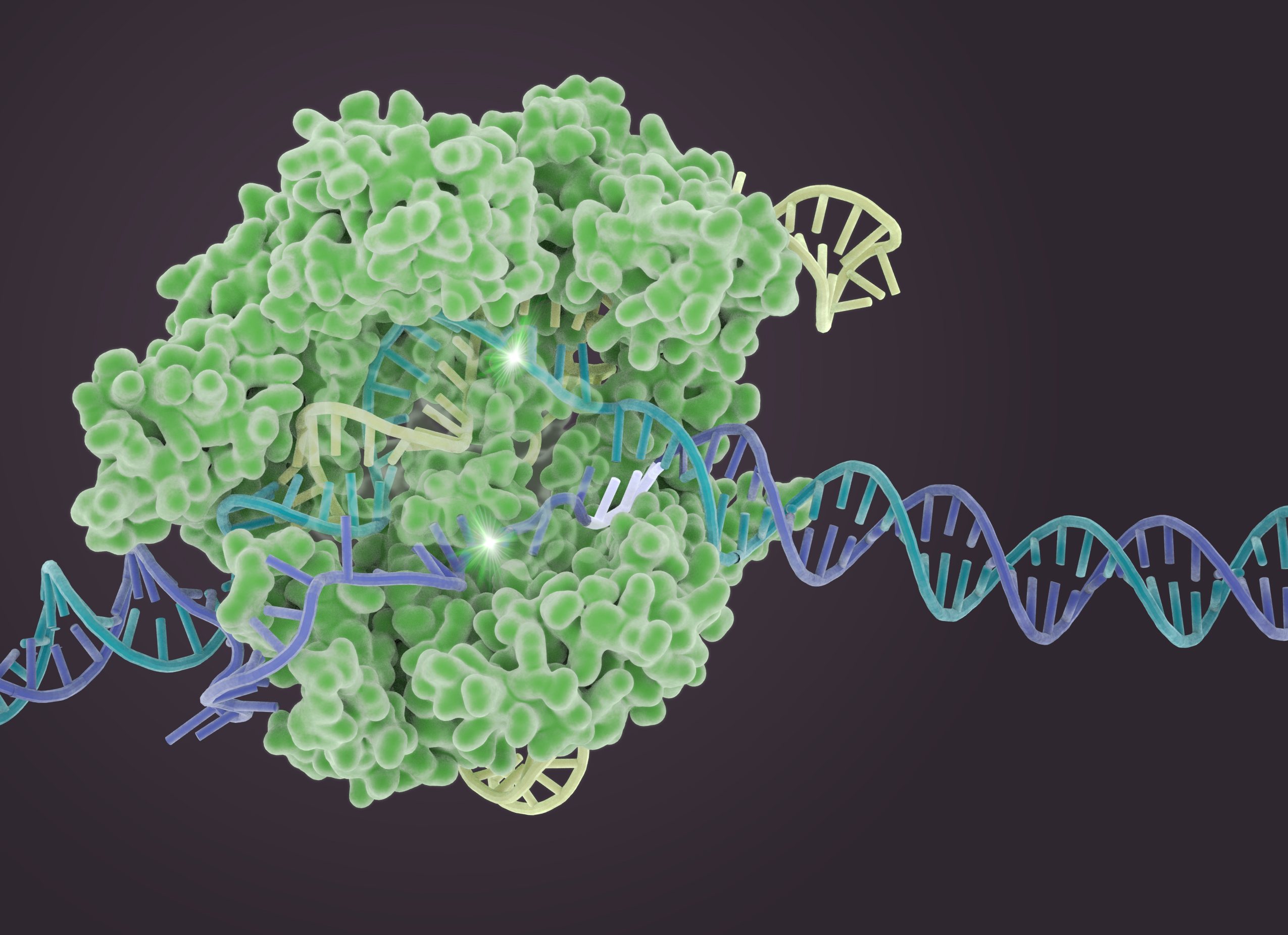 Study shows protein inhibitor as potential treatment approach for common mutations found in non-Hodgkin lymphomas