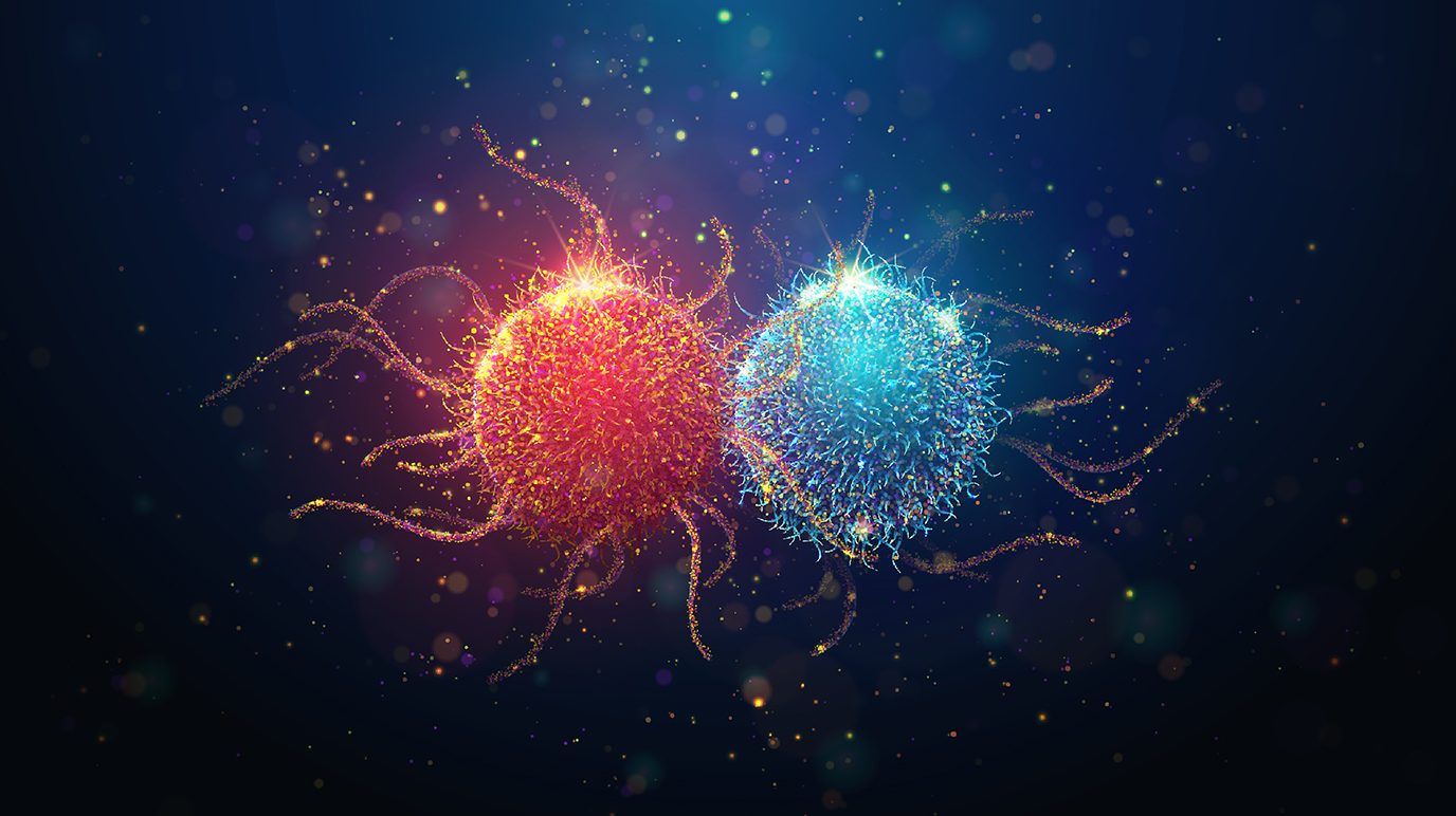 Abstract illustration of red cancer cell near blue immune cell