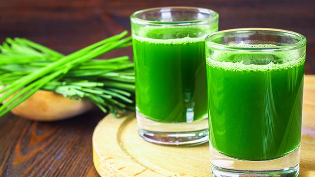 Two shot glasses full of bright green juice with wheatgrass blades in the background