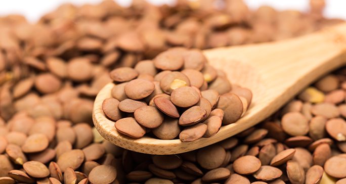 Close-up of dry yellow lentils -- a high-lectin food -- on a wooden spoon