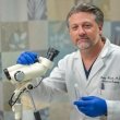 Melanoma - Symptoms, Staging & Treatment | UT MD Anderson