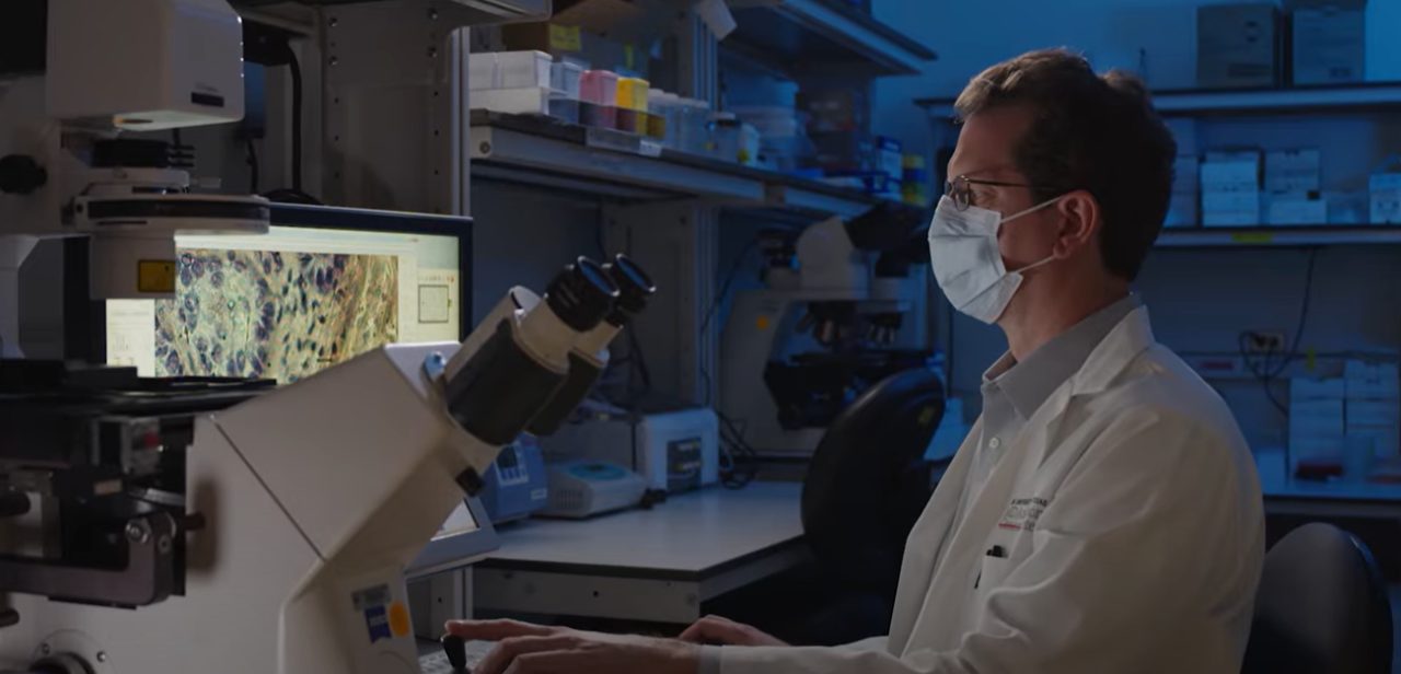 A researcher at a microscope