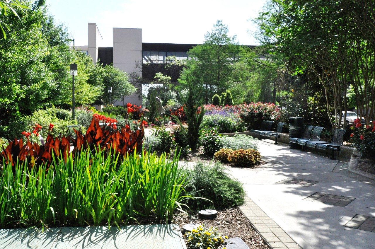 Dorothy H. Hudson Memorial Garden - UT MD Anderson