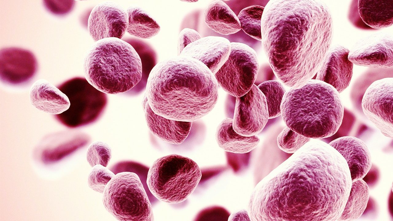 Cancerwise blog post: Multiple myeloma facts