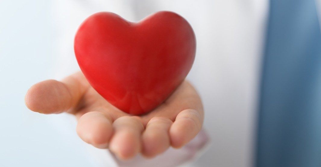 Soft fake heart in a doctor's outstretched hand