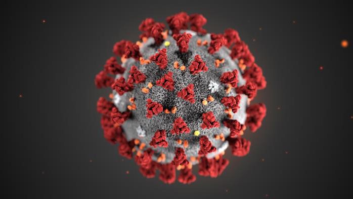 Cutaway of COVID-19 virus 
