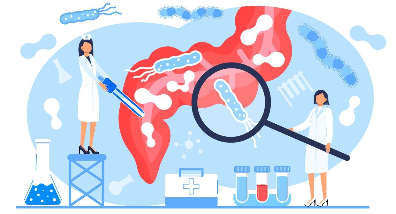 illustration of female clinicians inspecting a stomach, with floating microbes and medicine vials