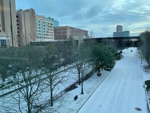 Snow in the streets of the Texas Medical Center