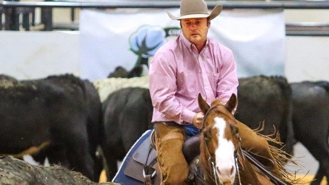 Trey Bullinger herds cattle riding Blazer Lena Rey