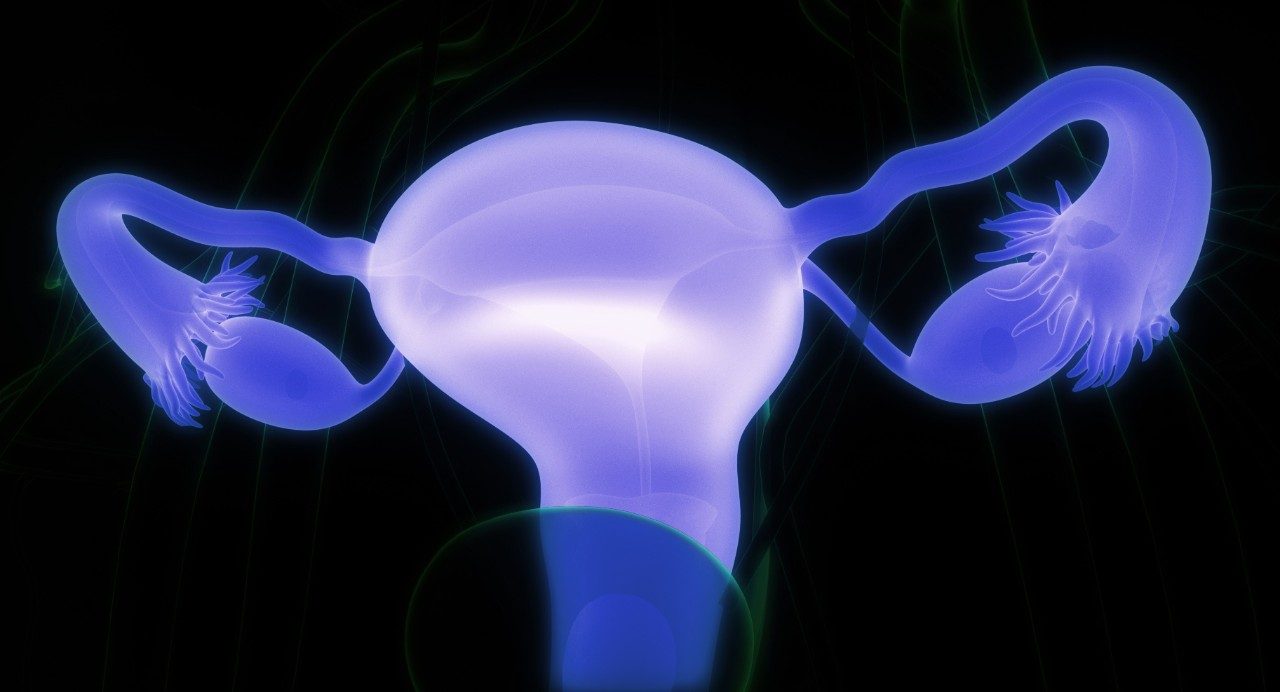 CGI medical illustration of luminous purple internal female reproductive organs against a solid black background 