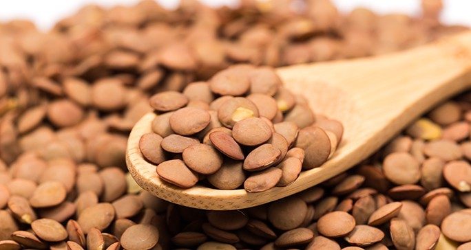 Close-up of dry yellow lentils -- a high-lectin food -- on a wooden spoon