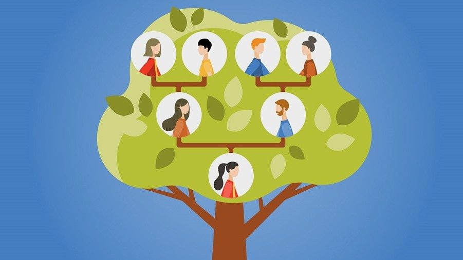 A green tree overlaid with a family tree featuring two sets of grandparents, two parents and one child.