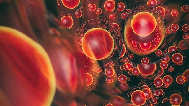 Illustration of cell division. Bright red circles on a black background.