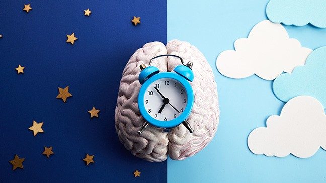White model of the brain with an electric blue alarm clock on top of it. The left half of the background is a dark blue night sky with gold stars. The right half of the background is a light blue background with blue and white clouds.