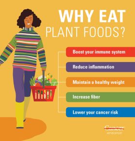https://www.mdanderson.org/content/mda/en/cancerwise/2025/10/the-benefits-of-a-plant-based-diet/jcr%3Acontent/par/adaptiveimage.resize.278.0.medium.jpg/1756841775779.png