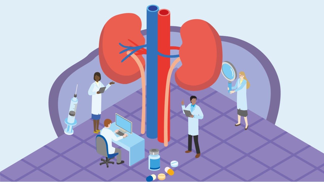Four tiny doctors examine oversized kidneys