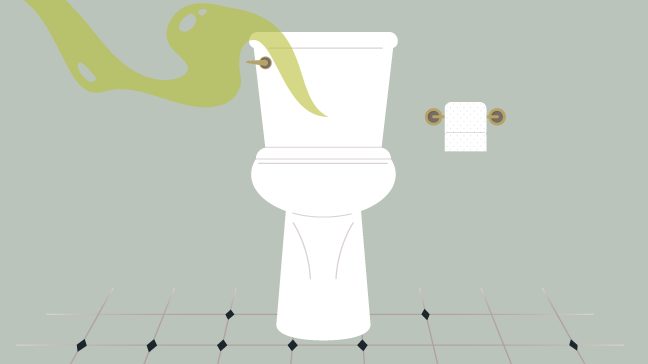 Drawing of a pristine white toilet with a green odor cloud wafting from it