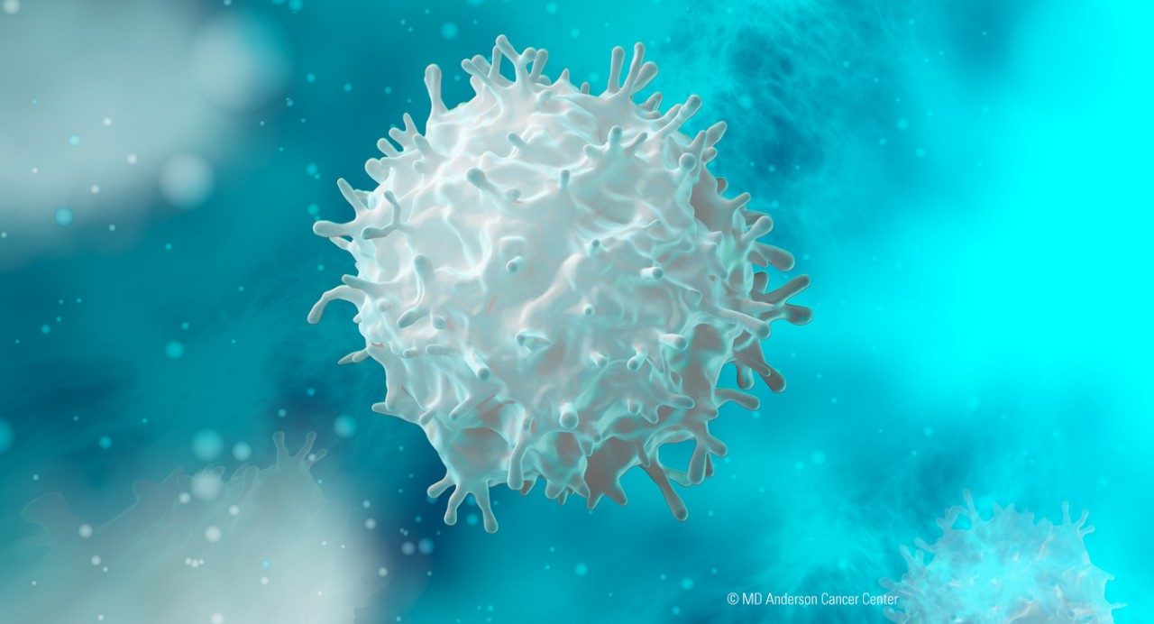 Illustration of T cell