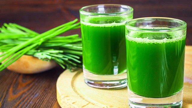Two shot glasses full of bright green juice with wheatgrass blades in the background