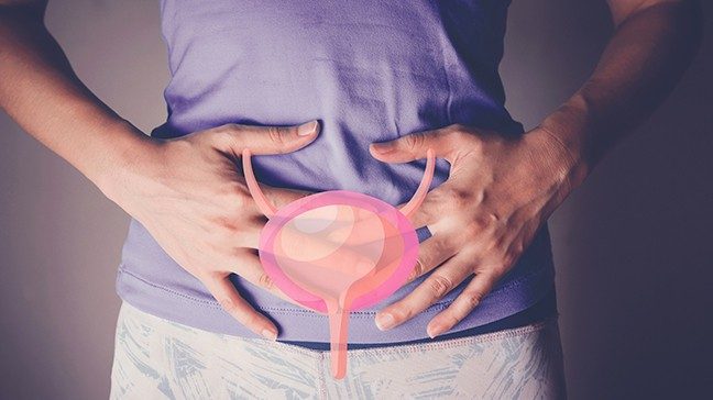Zoomed-in view of waist with bladder drawing superimposed