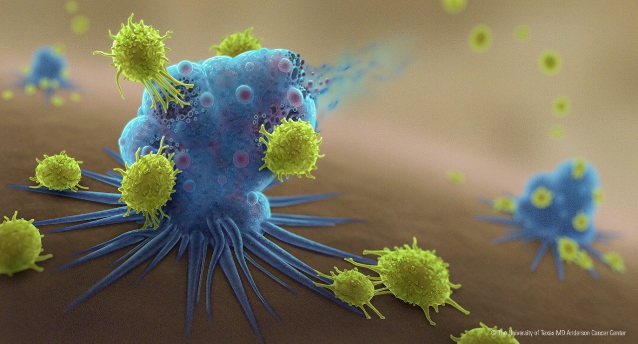 Editorial illustration depicting T cells fighting a tumor cell in a generic micronenvironment