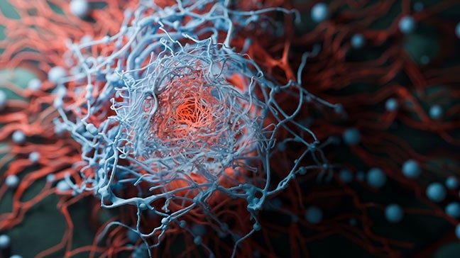 Cancer malignant cells - 3d rendered image, abstract enhanced scanning electron micrograph (SEM) of cancer malignant cells. Visual of overall shape of the cell's surface at a very high magnification. Medical research concept, research, basic science, translational research, clinical research