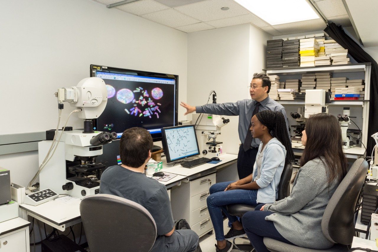 Learning Spectrum Karyotyping (SKY) imaging analysis