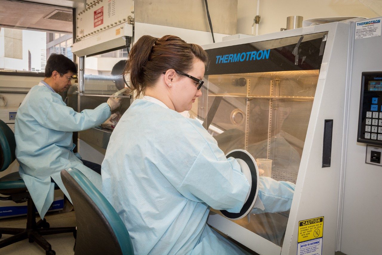 Learning specimen processing, tissue culturing, and slide dropping for Cytogenetic analysis in training laboratory