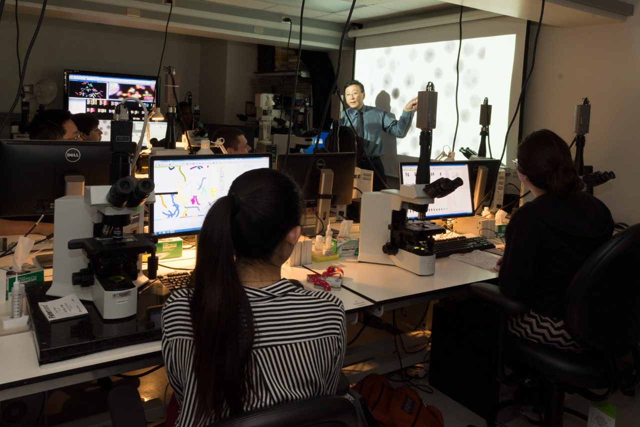 Cytogenetic digital imaging analysis laboratory instruction session