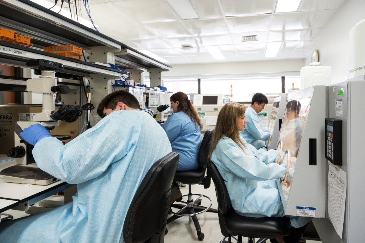 Clinical rotation at a training facility