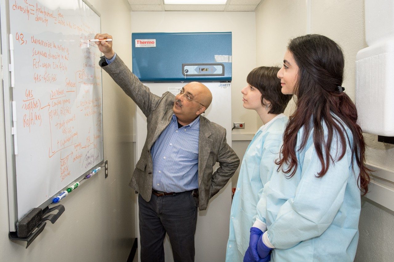 The DGG program offers a low instructor to student ratio of ~1-3