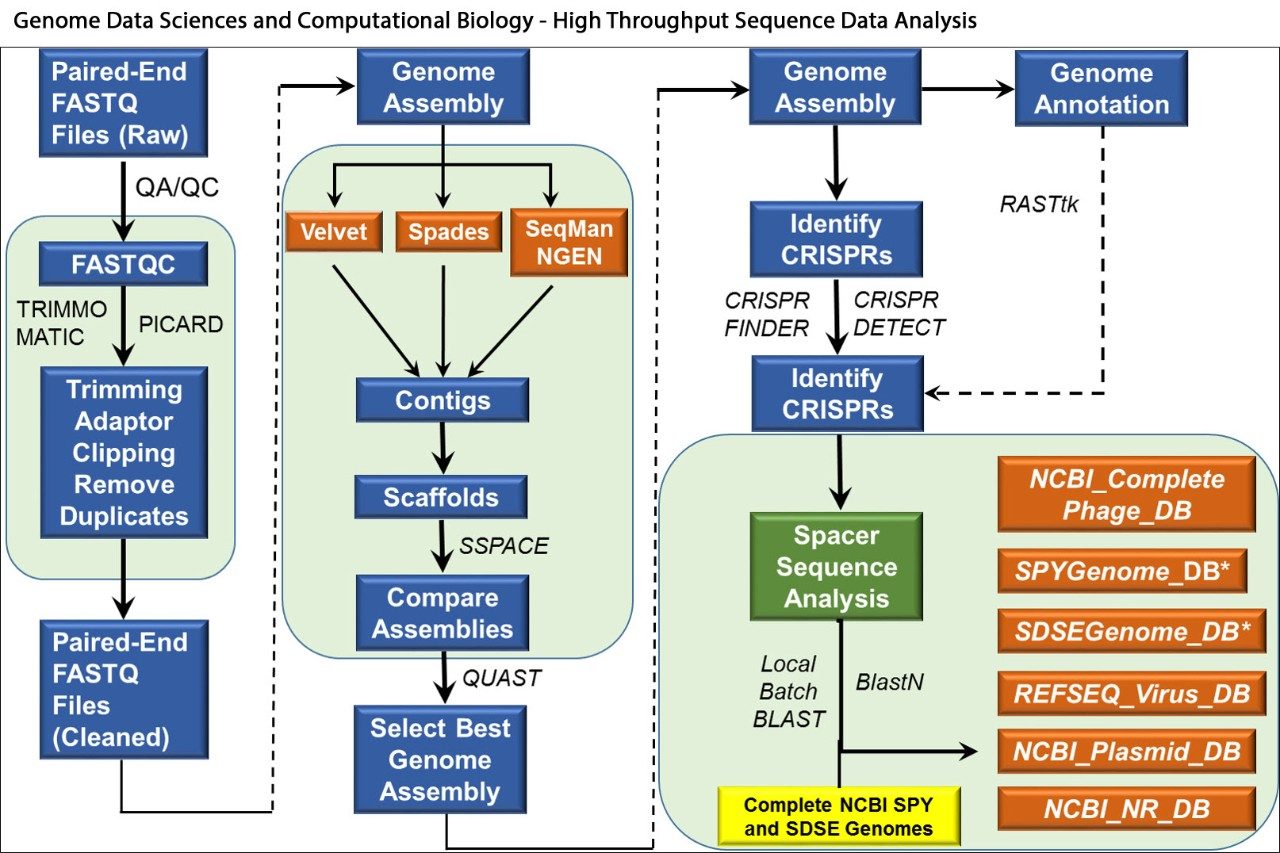 Molecular genetics and genomics track students learn how develop bioinformatics workflows for Next Generation Sequencing data analysis