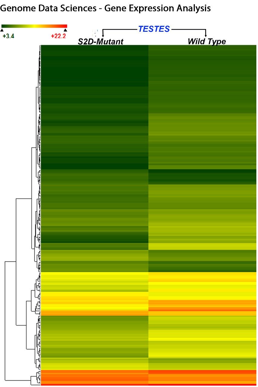 Molecular genetics and genomics students learn to sequence and analyze RNA from humans, model organisms and pathogenic microbes