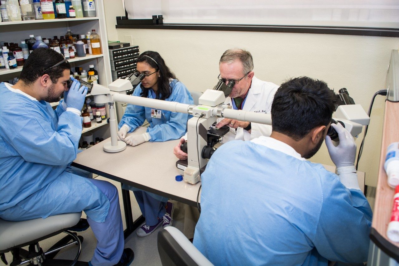 Histotechnology educator reviewing tissue on slides with students