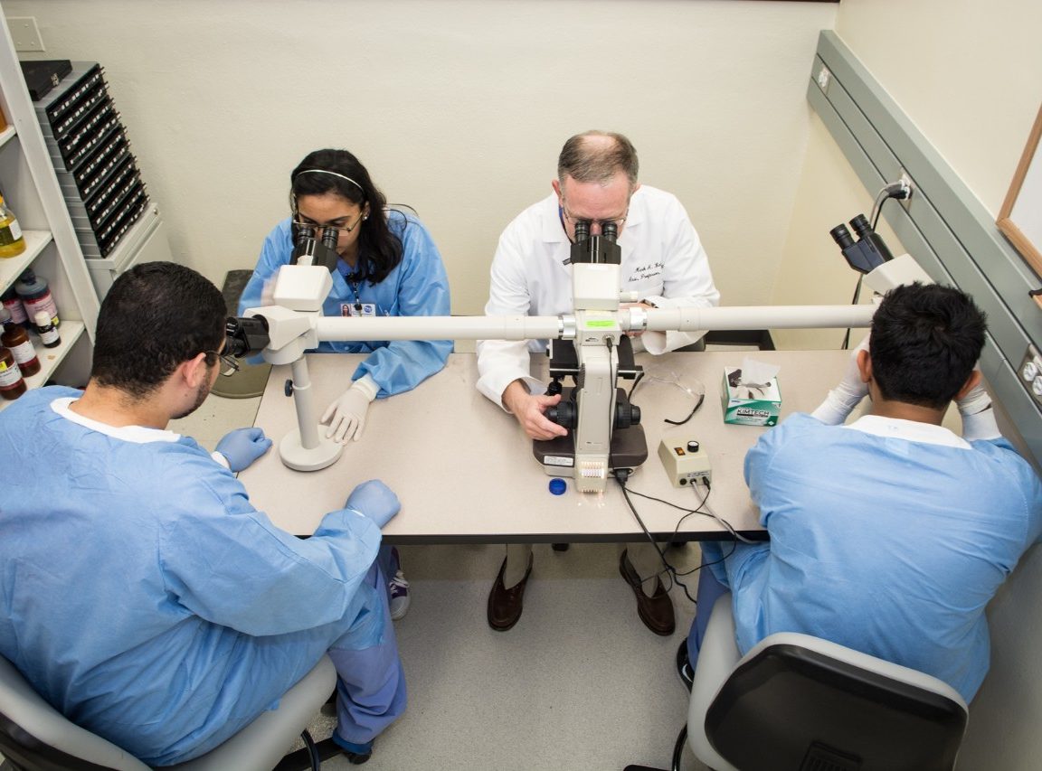 SHP overview video in Spanish