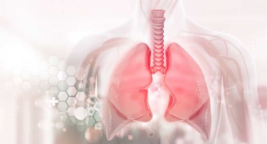 Cascone Laboratory | UT MD Anderson