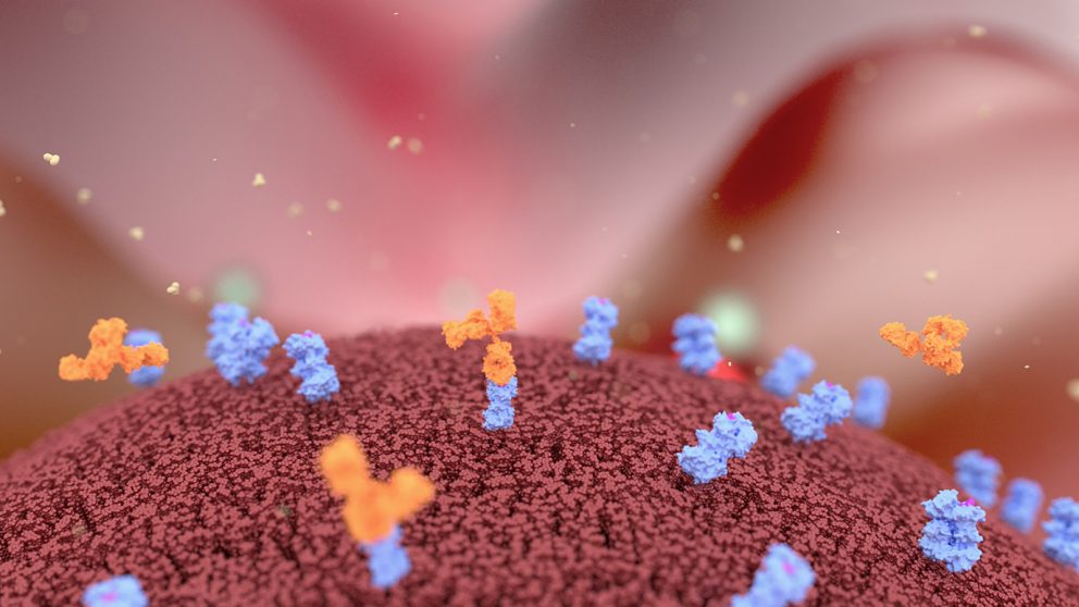 Relatlimab plus nivolumab improves progressionfree survival in