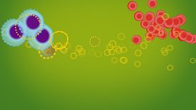 Stem Cell Bone Marrow Transplants Md Anderson Cancer Center