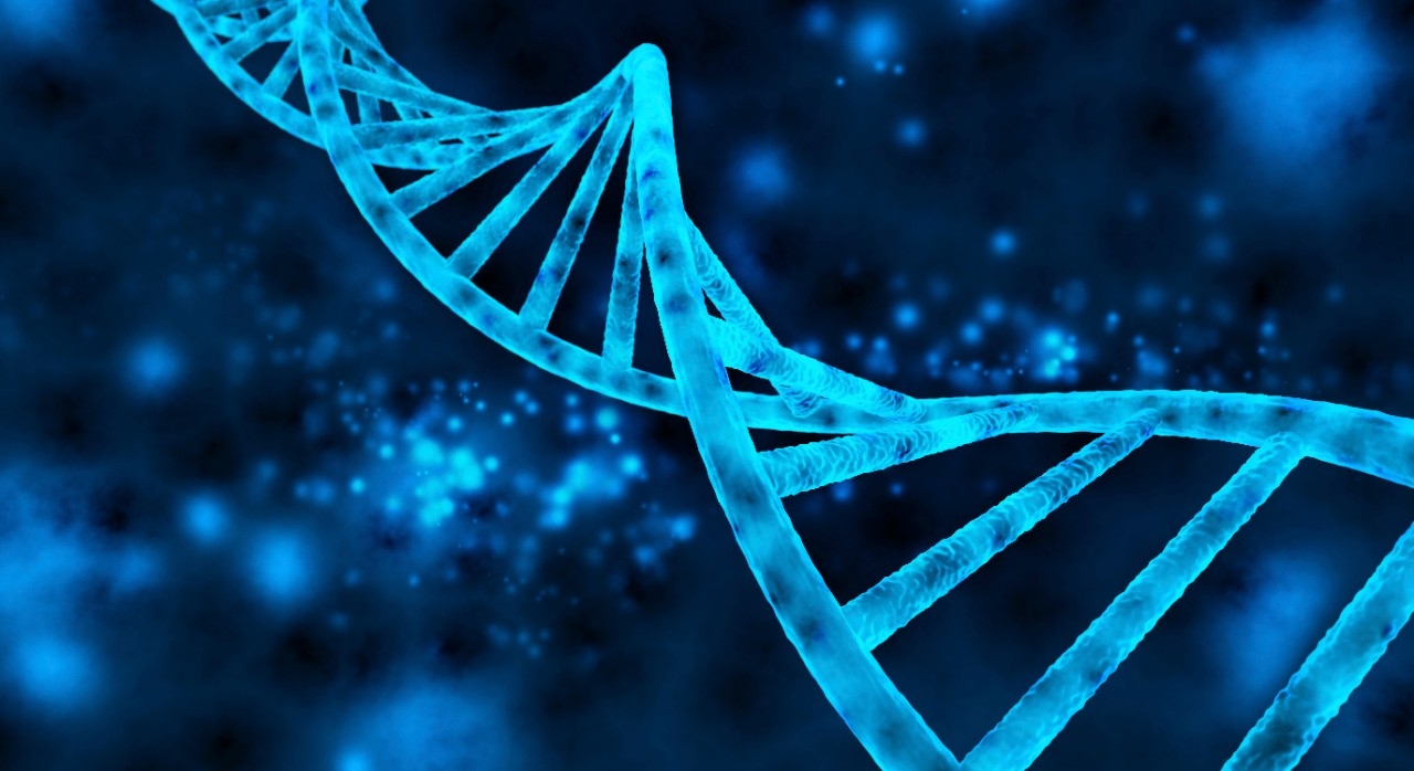 A DNA strand