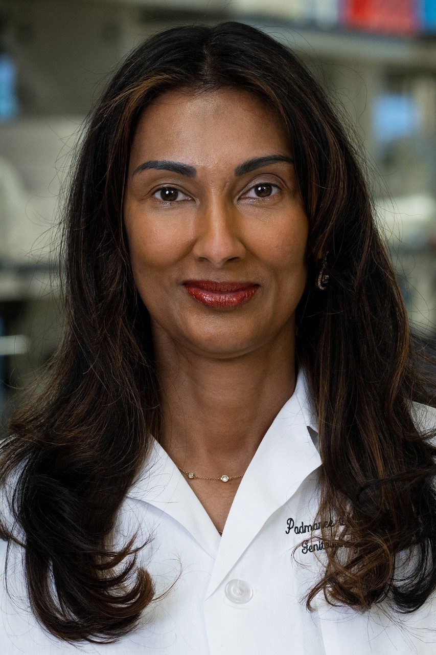 Immunology Faculty | MD Anderson Cancer Center