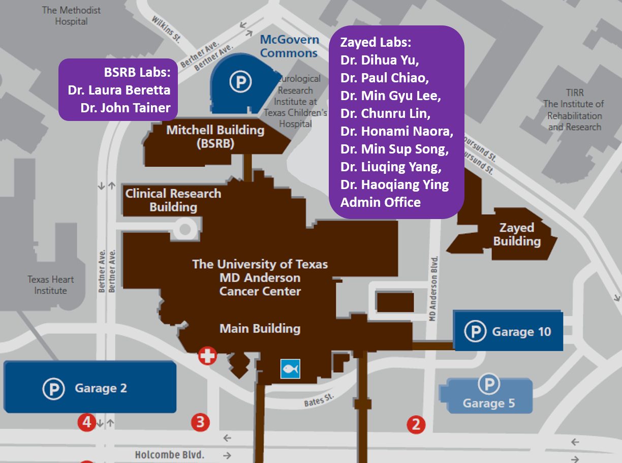 Molecular and Cellular Oncology - 1694201529508 