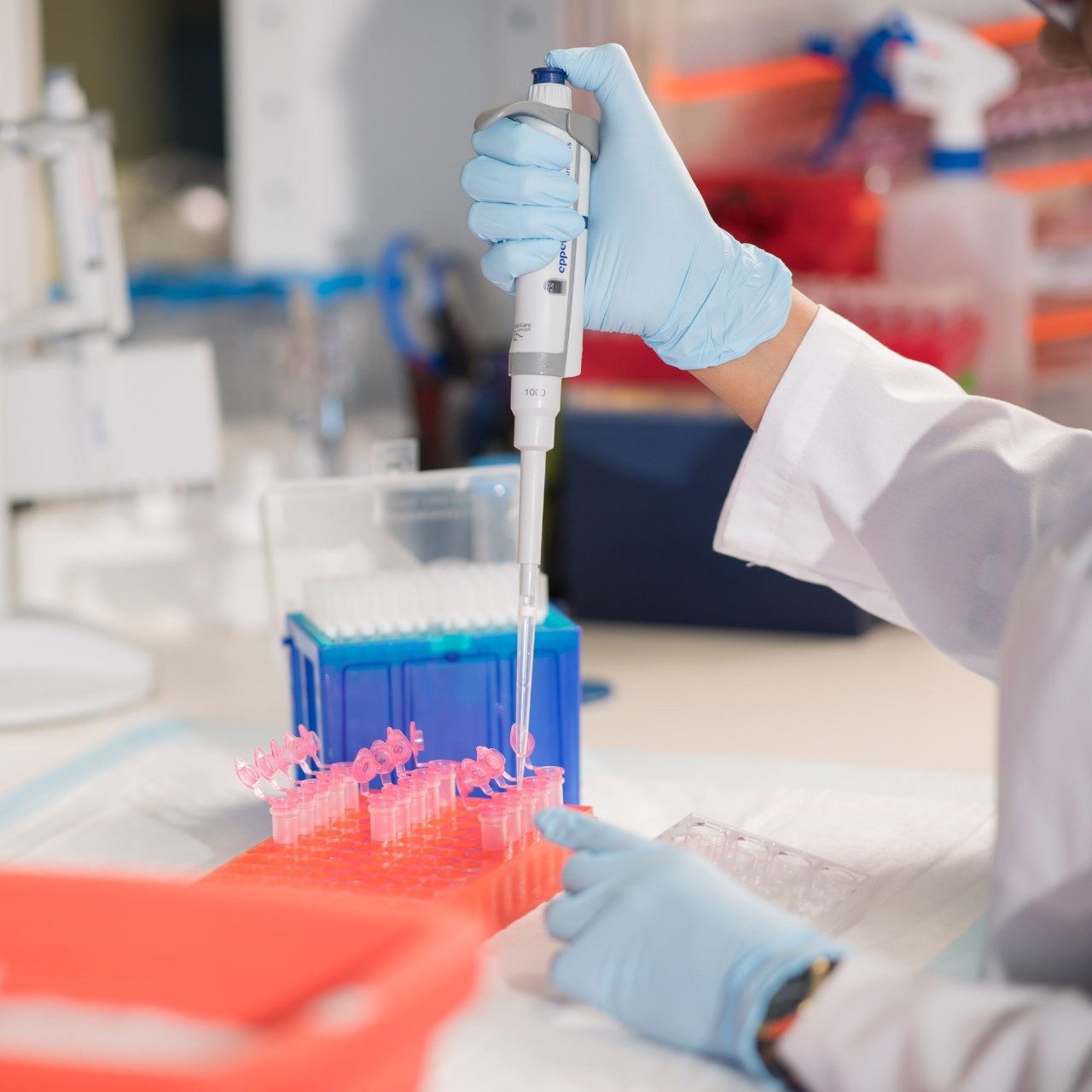Hands pipetting