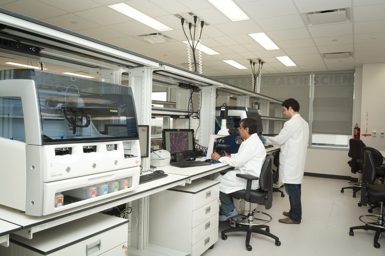 Two people in white coats work in a lab