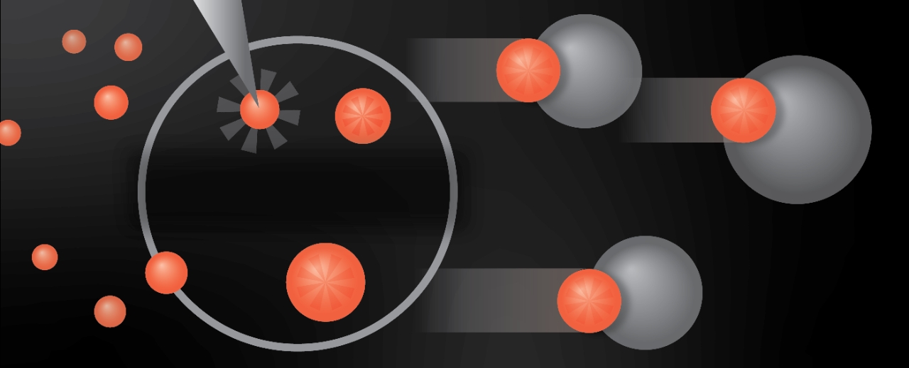 Graphic of circles and lines representing the institute