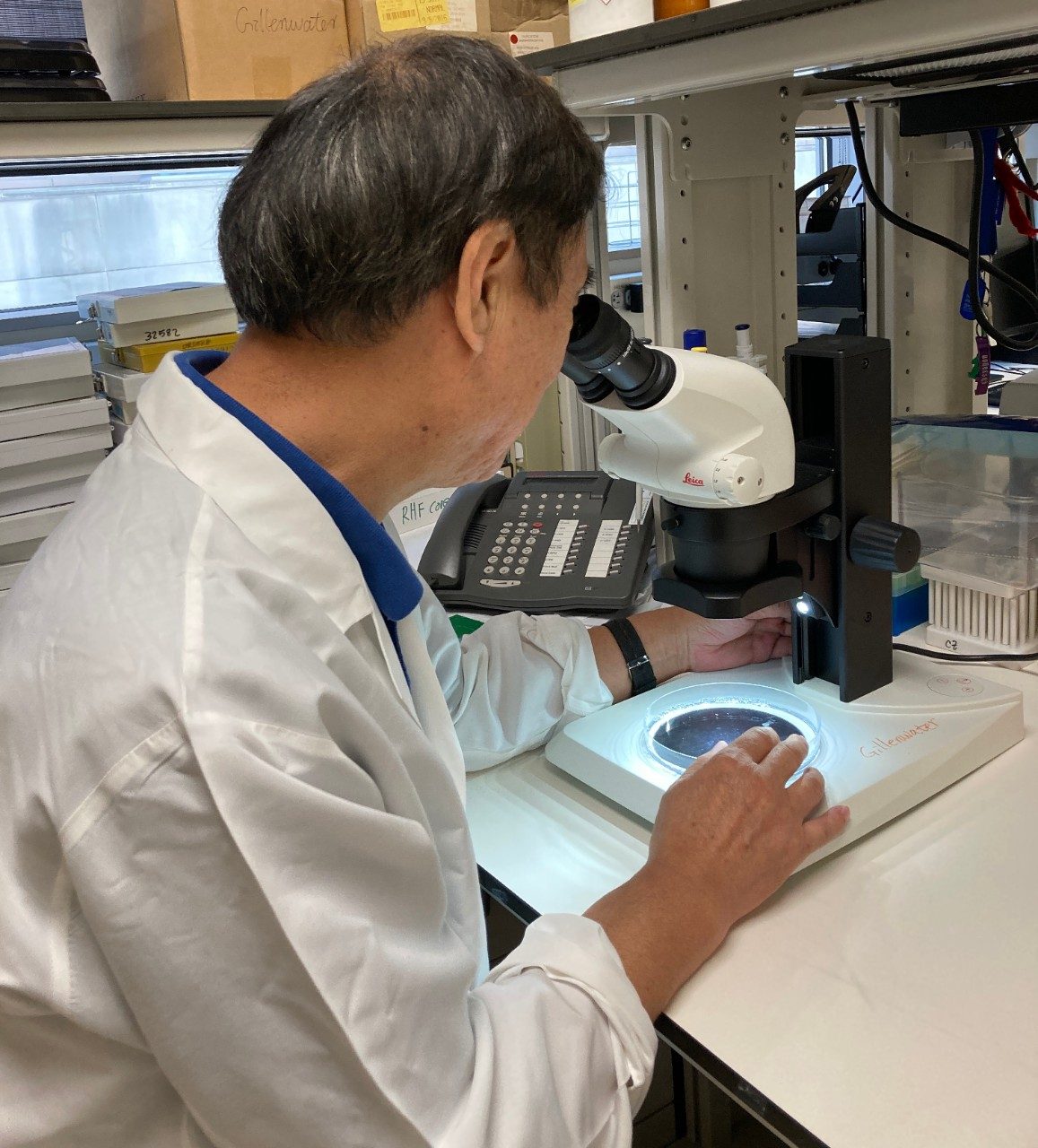 Man looking through microscope