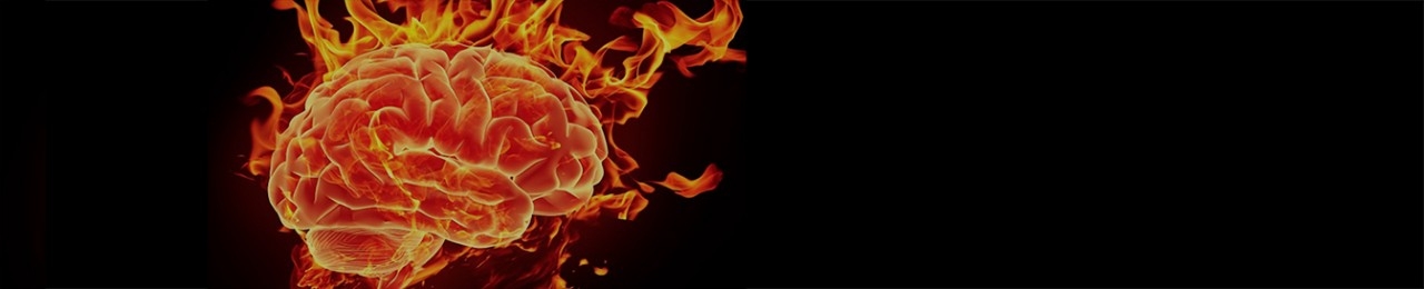 Dantzer Lab - image depicting inflammation and the brain 