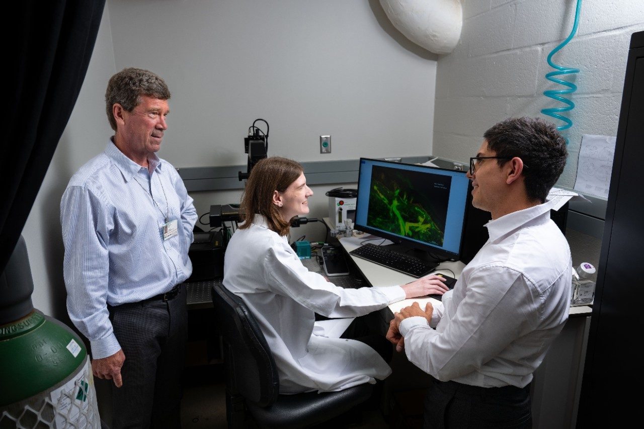 Dougherty Laboratory MD Anderson - 1715377005876 