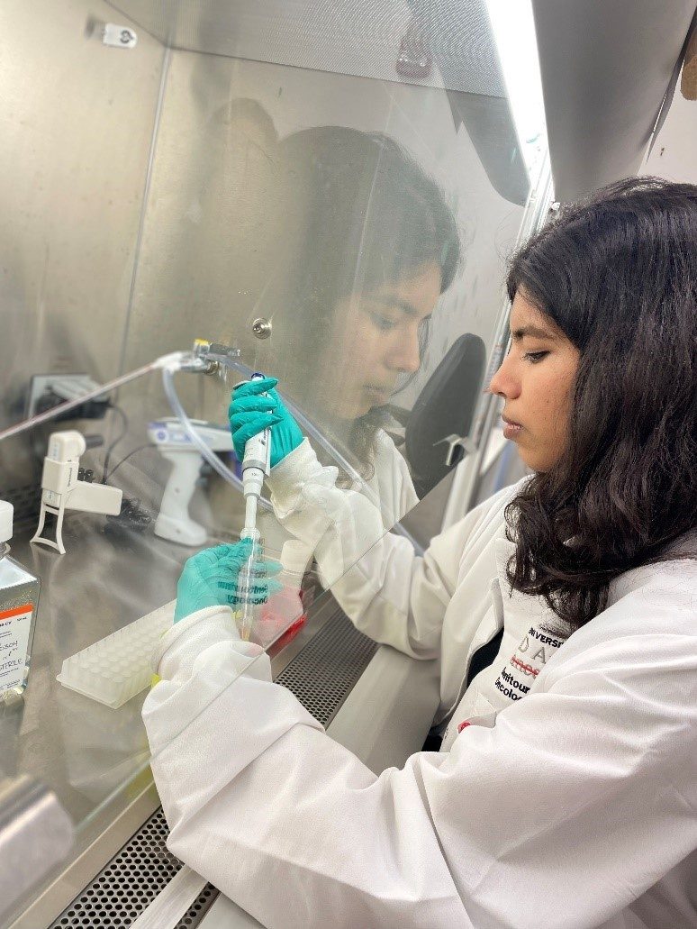 Lab member in a lab coat, pipetting inside a hood. Her reflection is visible in the glass of the hood.